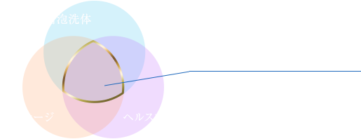 ハイブリッド説明図
