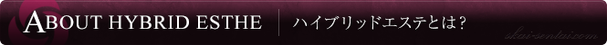 ハイブリッドエステとは？