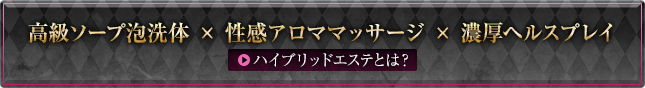 ハイブリットとは？