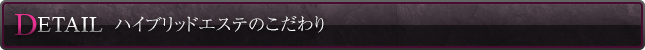 ハイブリッドエステのこだわり