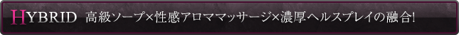 高級ソープ×性感アロママッサージ×濃厚ヘルスプレイの融合！