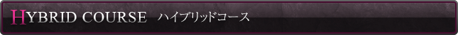 ハイブリッドコース