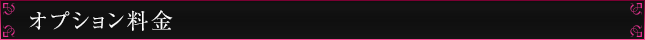 オプション料金