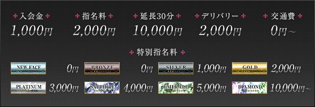 入会金、指名料、延長料金、デリバリー料金、交通費、特別指名料