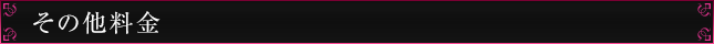 その他料金