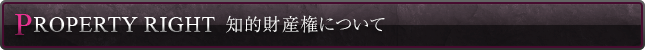 知的財産権について